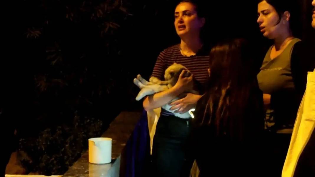 Yangın Dumanı Zehirledi, Kalp Masajı Bile Yetmedi! 1